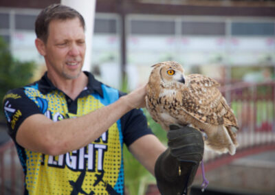 Birds of prey at the ActionFlight Visitor Centre, Tower Links Golf Club